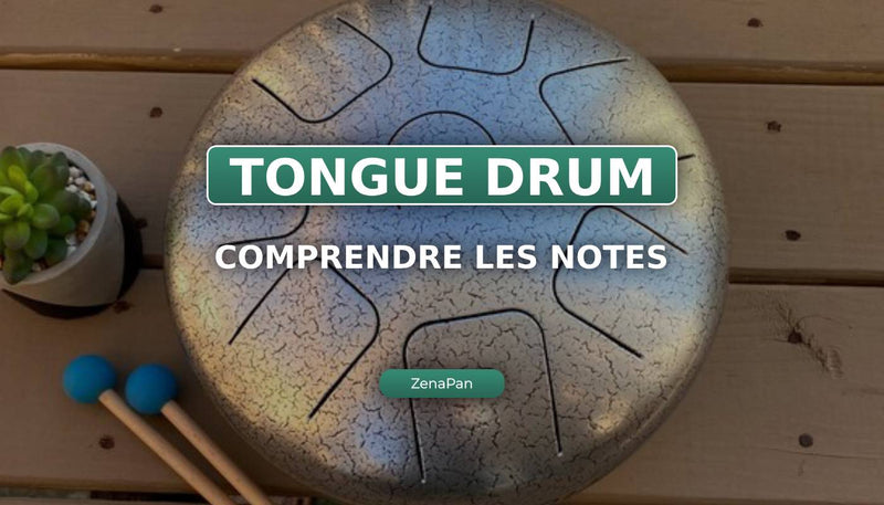 Quali sono le note su un tongue drum?